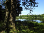 Het Hulsbeek